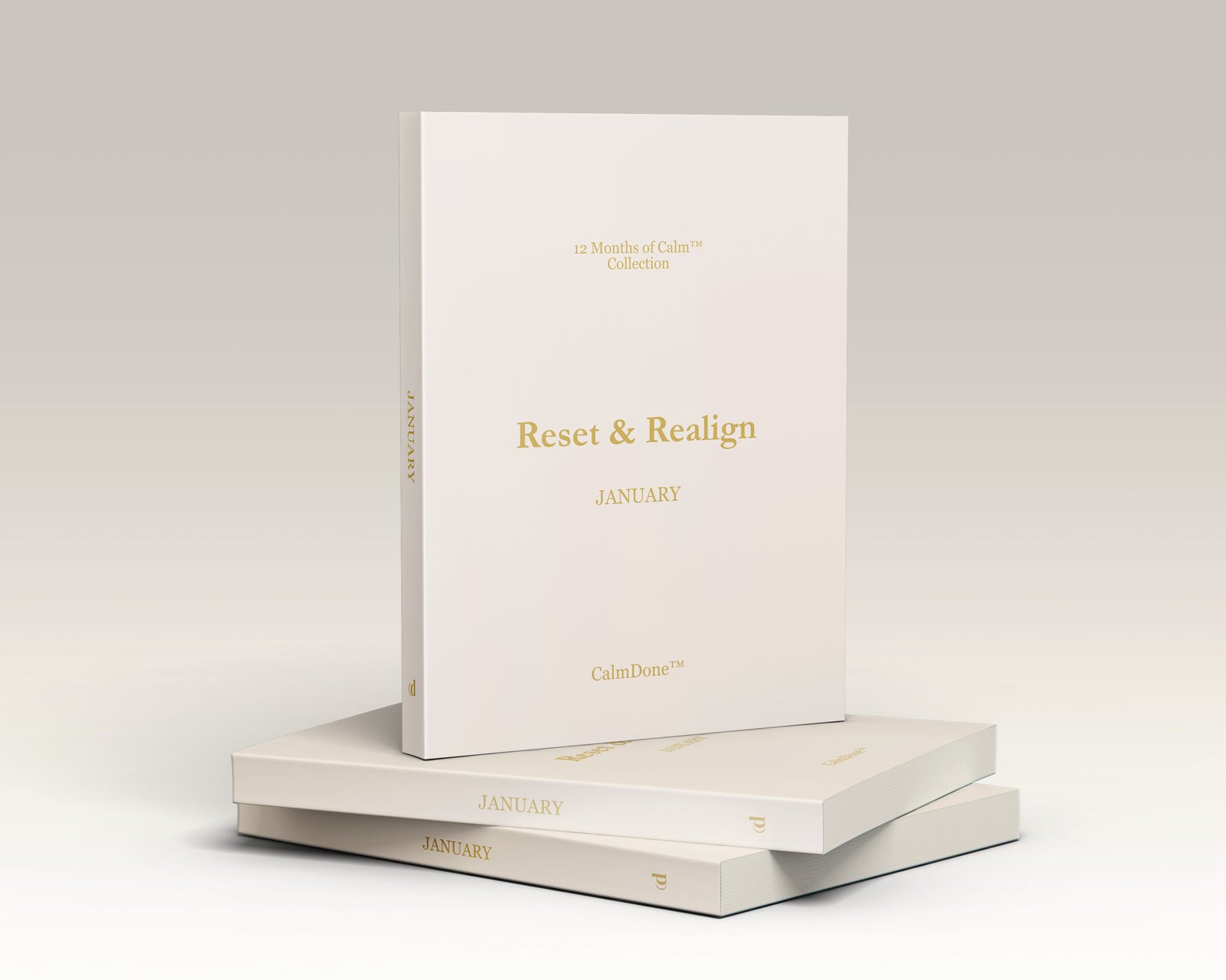Elegant book titled 'Reset & Realign'