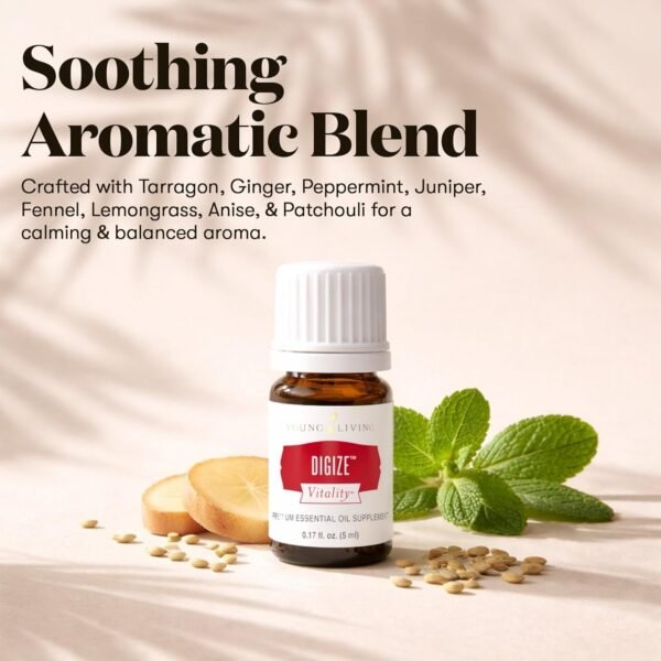 Young Living DiGize Essential Oil Blend 5 ml bottle for herbal diffuser and aromatherapy routines