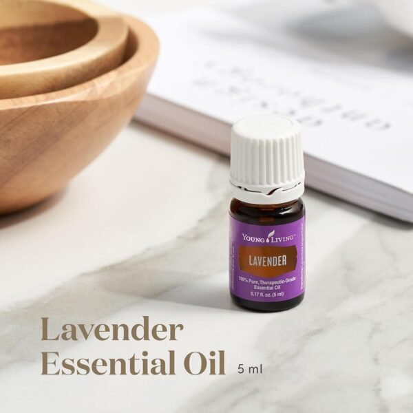 Young Living Lavender Essential Oil 5 ml bottle for diffusers and calming aromatherapy routines
