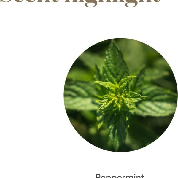 Young Living Peppermint Essential Oil – 15 ml - Image 3