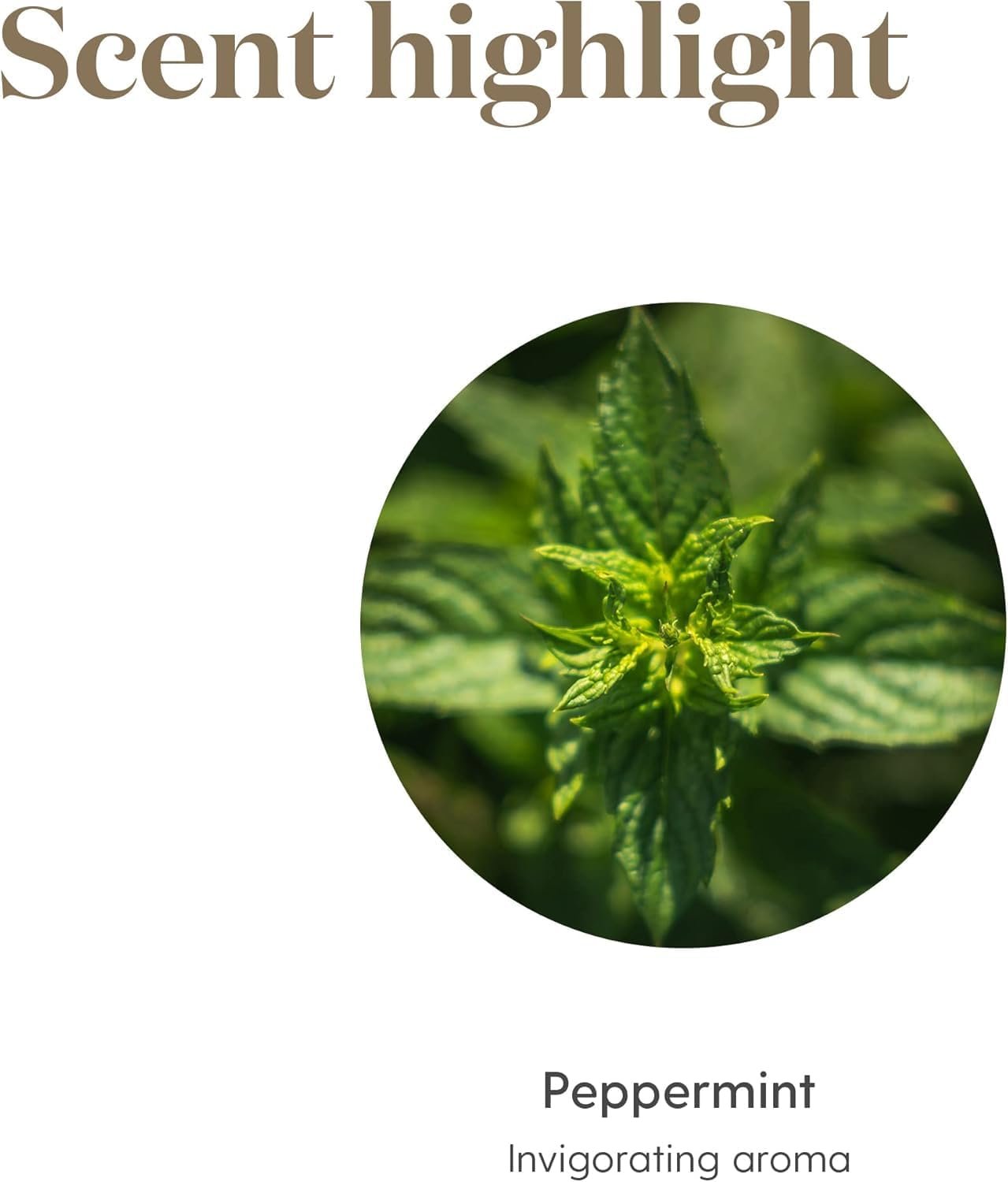 Young Living Peppermint Essential Oil – 15 ml